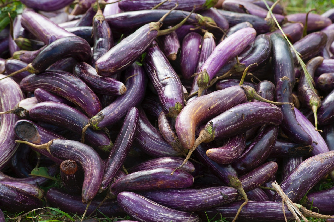 Are eggplant Keto Friendly?